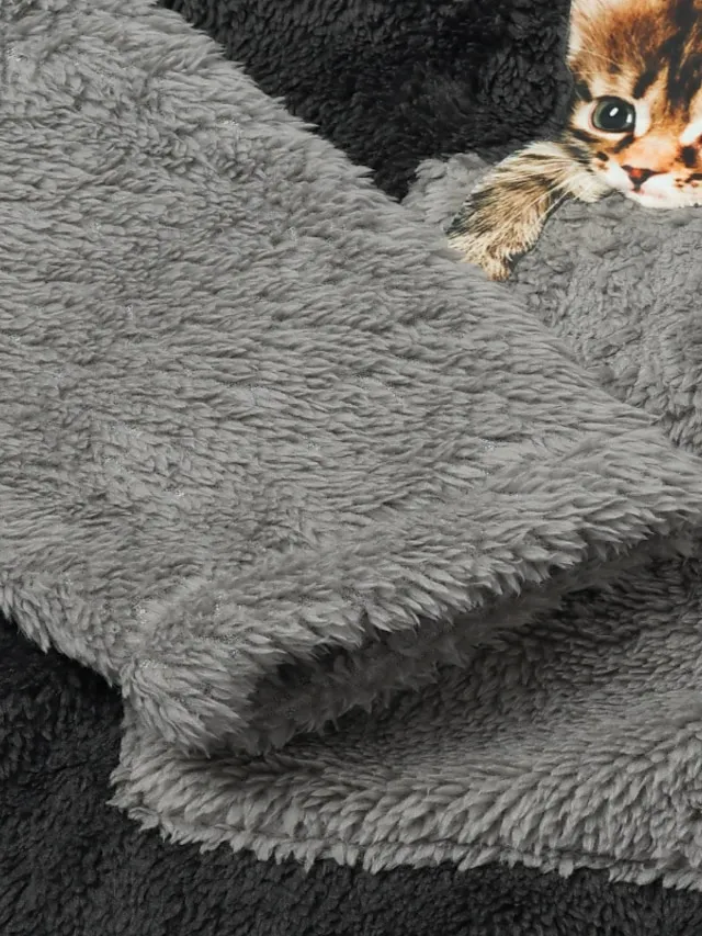 Women's Plus Size Teddy Coat Animal Casual Long Sleeve V Wire Regular Fall Winter Green Pink Dark Gray L XL XXL 3XL 4XL