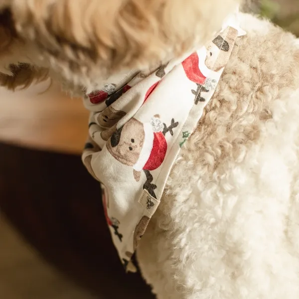 Home Sweet Home Organic Cotton Matching Family Pajamas