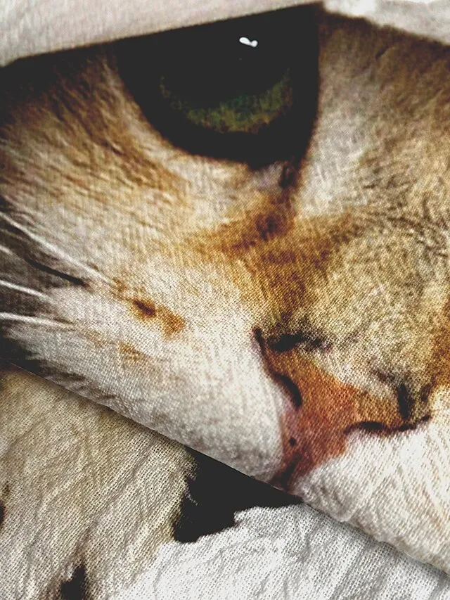 Women's T shirt Tee 100% Cotton Funny Tee Shirt Black White Graphic Cat Print Short Sleeve Casual Daily Basic Round Neck Regular 100% Cotton 3D Cat S