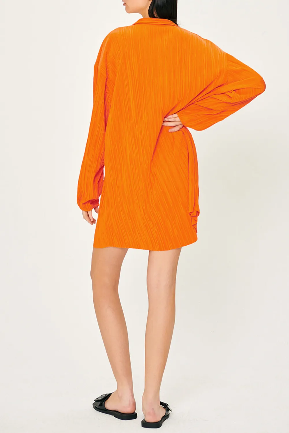 Daily Plisse Shirt Dress