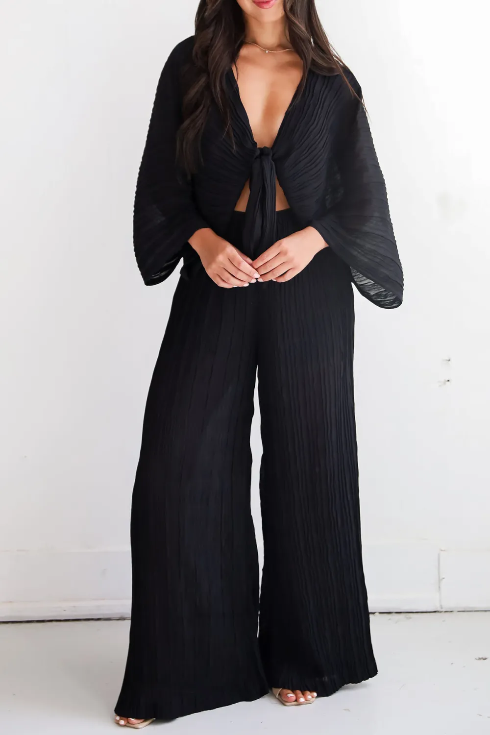 Sophisticated Step Black Pleated Wide Leg Pants