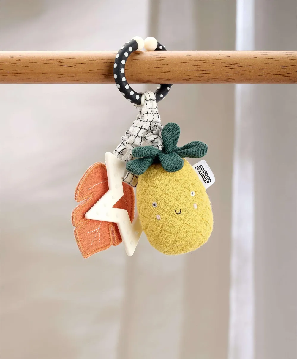 Wildly Adventures Educational Teething Toy - Linkie Pineapple
