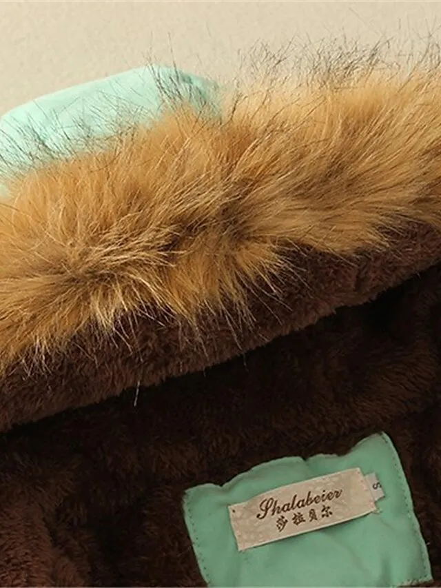 Women's Winter Coat Fleece Lined Parka Thermal Warm Windproof Puffer Jacket with Pocket Hooded Heated Jacket Fall Outerwear Drawstring Outdoor Street Fashion Casual Outerwear