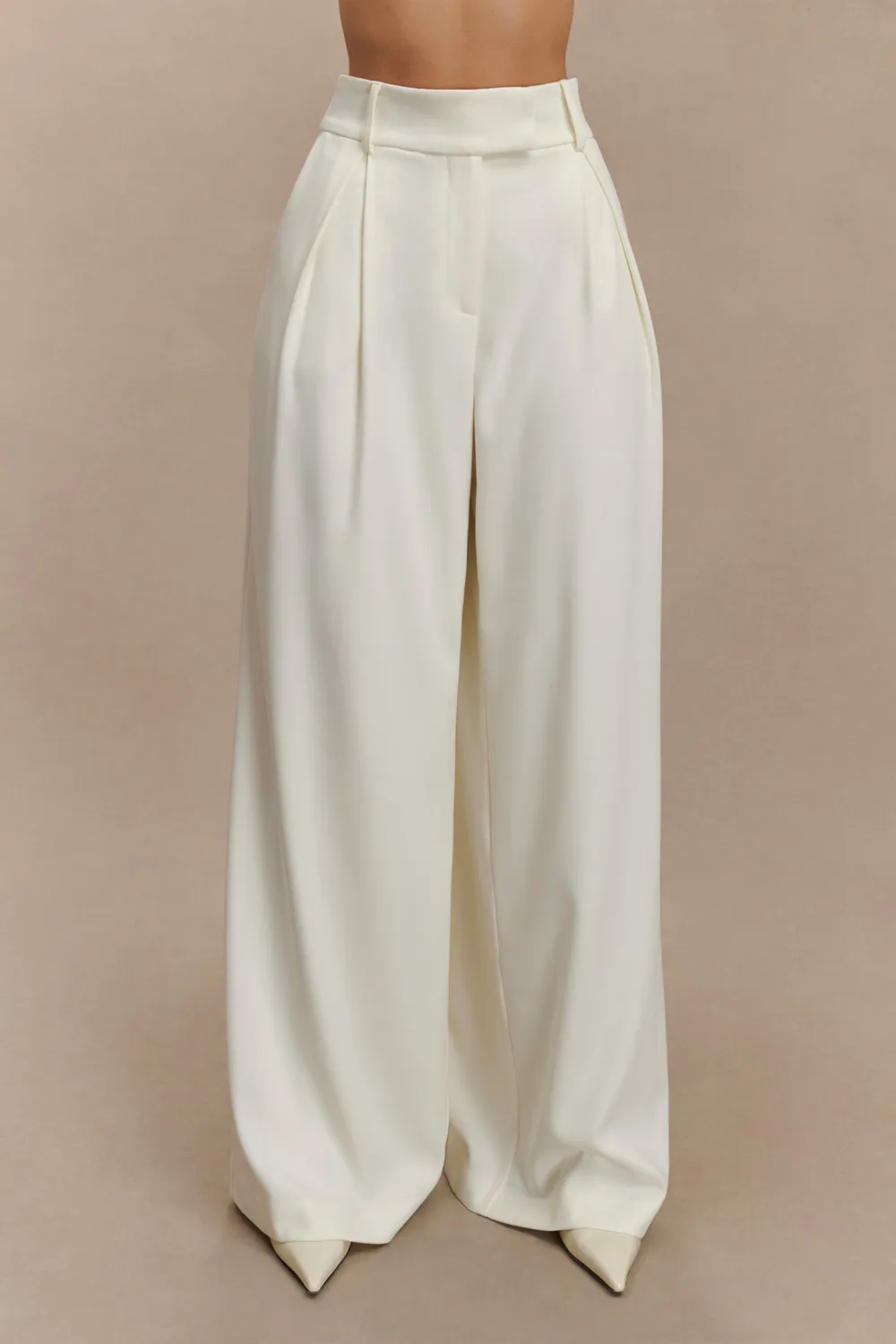 Pleated Wide Leg Pants