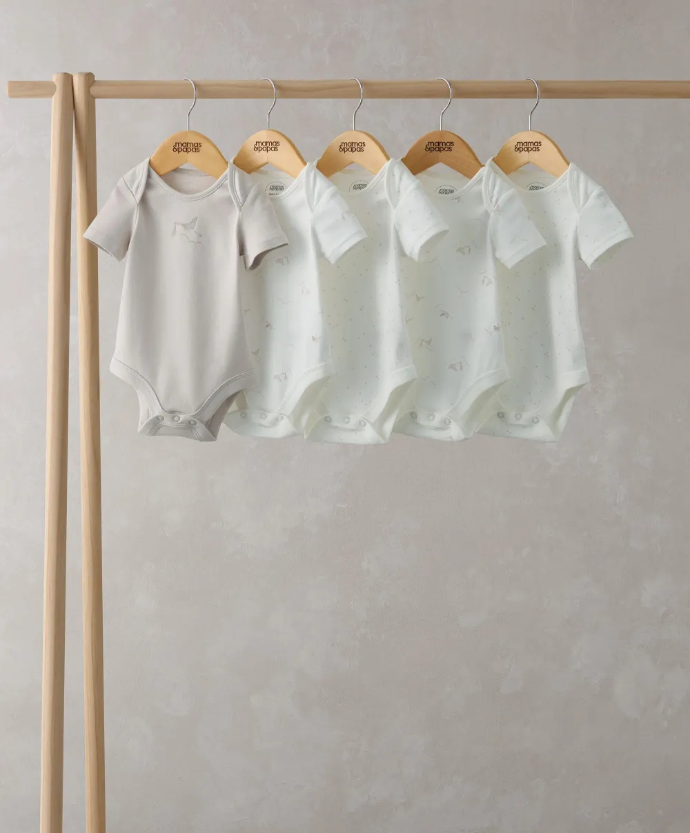 Stork Bodysuits (Set of 5)
