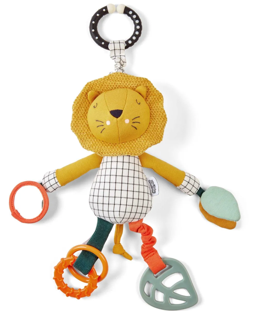 Wildly Adventures Educational Toy - Jangly Lion