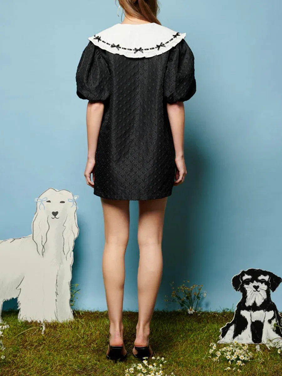 Soft Bow Collar Dress