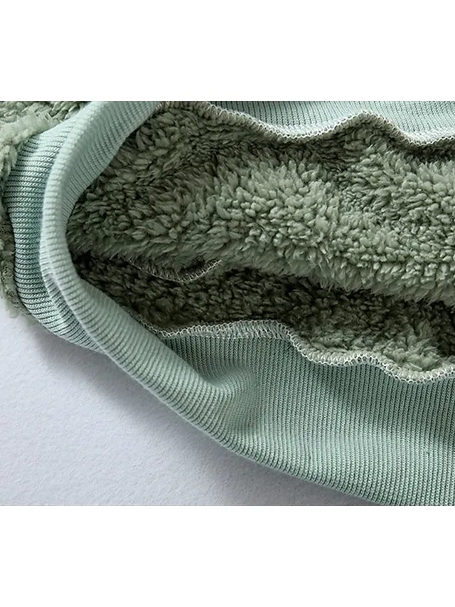 Women's Zip Hoodie Sweatshirt Fleece Jacket Pullover Sherpa Fleece Teddy Zipper Green Blue Purple Plain Round Neck Long Sleeve S M L XL 2XL 3XL / Winter / Fleece lined