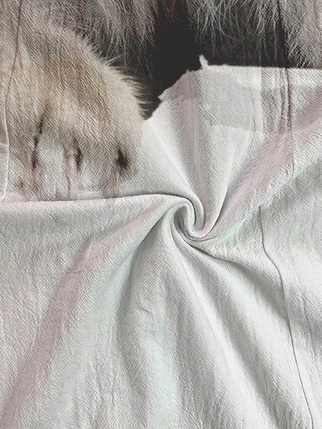 Women's T shirt Tee 100% Cotton Funny Tee Shirt Black White Graphic Cat Print Short Sleeve Casual Daily Basic Round Neck Regular 100% Cotton 3D Cat S