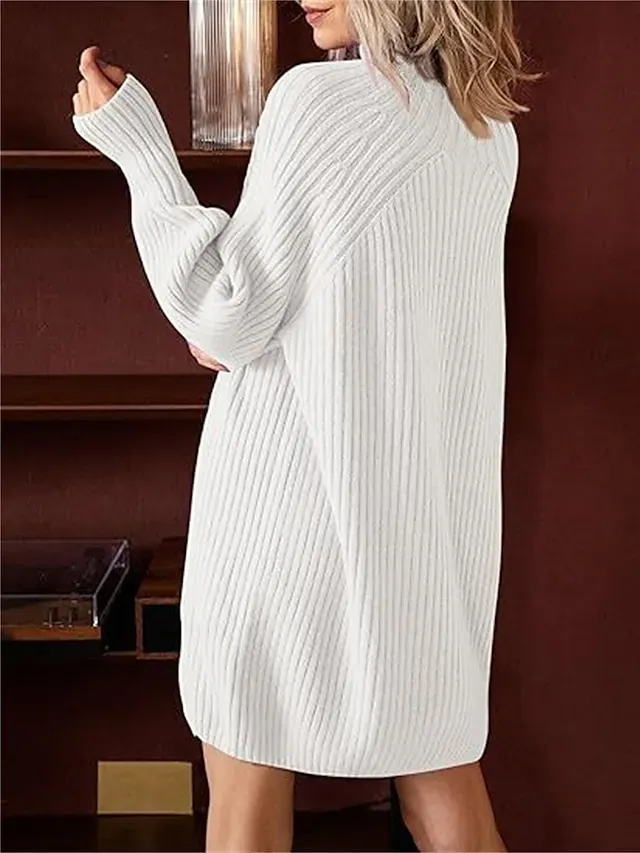 Women's Sweater Dress Jumper Dress Winter Dress Mini Dress Warm Fashion Casual Plain Outdoor Daily Vacation Going out Turtleneck Long Sleeve 2023 Loose Fit Black White Blue S M L XL
