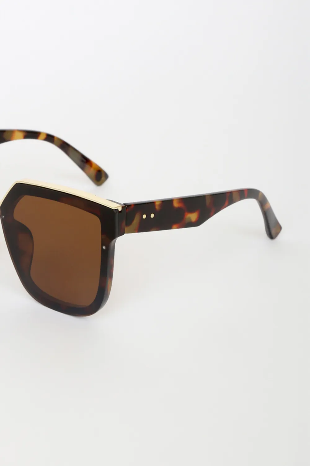 Casual Cool Brown Square Women's Sunglasses