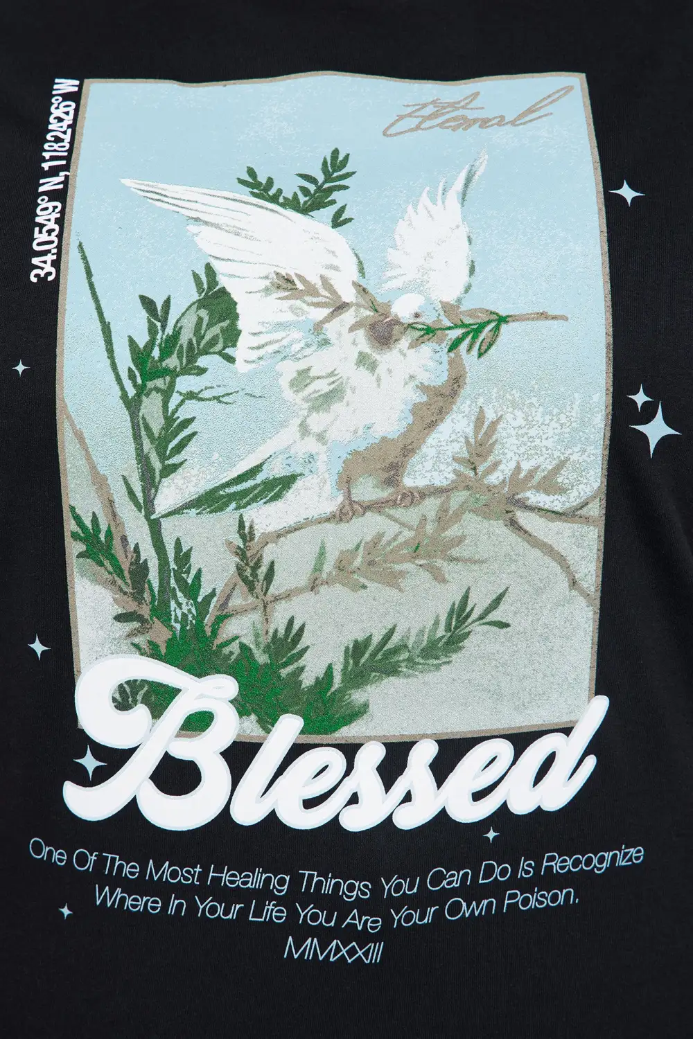Lifetime Of Blessings Graphic Tee - Black