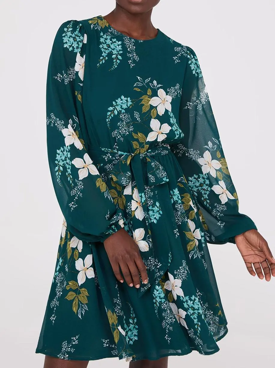 Floral Print Chiffon Fit & Flare Mini Dress