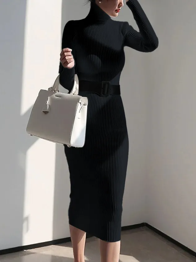 Elegant Turtleneck Sweater Dress