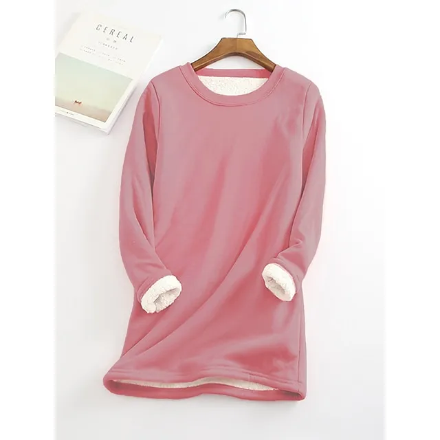 Women's Casual Dress Sweatshirt Dress Winter Dress Mini Dress Teddy Fleece Home Daily Going out Basic Casual Crew Neck Long Sleeve Regular Fit Wine Red Big red Black Color S M L XL XXL Size
