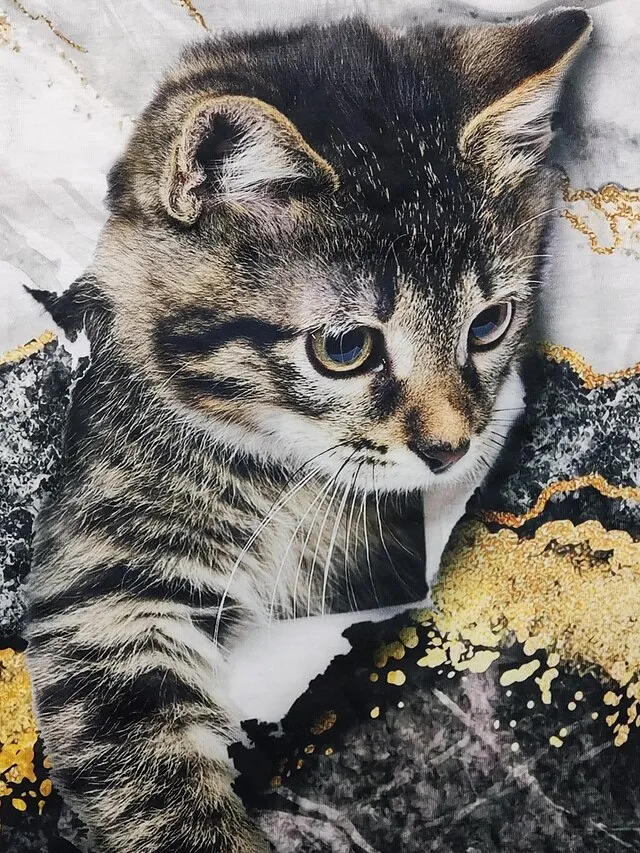 Women's T shirt Tee Black White Blue Graphic Cat Print Short Sleeve Daily Weekend Vintage Round Neck Regular 3D Cat Painting S