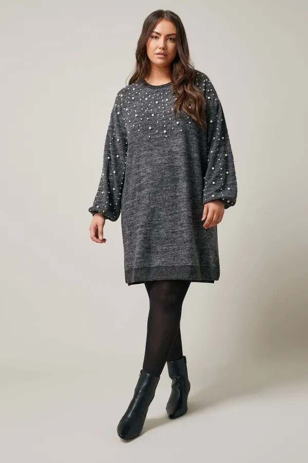 EVANS Curve Grey Pearl Embellished Jumper Dress
